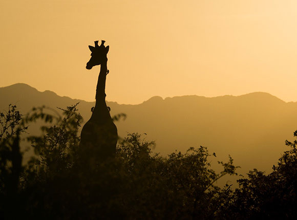 Suedafrika_01 Urlaub Sinning 2008 124